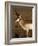 Pronghorn Antelope in Grand Teton National Park, Wyoming, USA-Diane Johnson-Framed Photographic Print