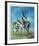 Pronghorn Antelope-Peter Darro-Framed Limited Edition