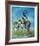 Pronghorn Antelope-Peter Darro-Framed Limited Edition