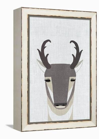 Pronghorn Antelope-Annie Bailey Art-Framed Stretched Canvas