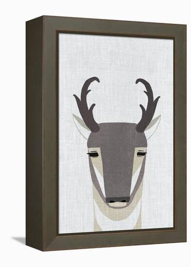 Pronghorn Antelope-Annie Bailey Art-Framed Stretched Canvas