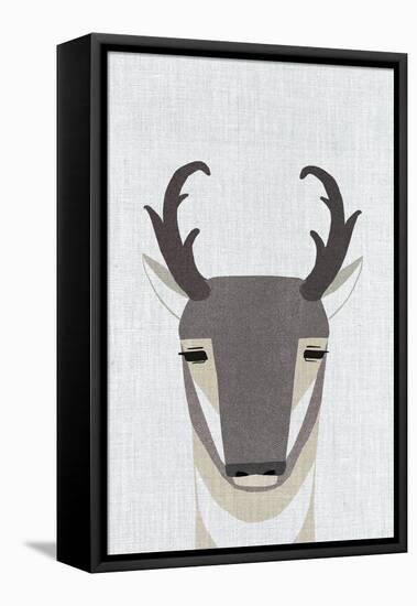 Pronghorn Antelope-Annie Bailey Art-Framed Stretched Canvas