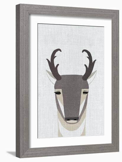 Pronghorn Antelope-Annie Bailey Art-Framed Art Print