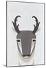 Pronghorn Antelope-Annie Bailey Art-Mounted Art Print