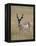 Pronghorn (Antilocapra Americana) Buck, Custer State Park, South Dakota, USA-James Hager-Framed Premier Image Canvas