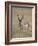 Pronghorn (Antilocapra Americana) Buck, Custer State Park, South Dakota, USA-James Hager-Framed Photographic Print