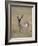 Pronghorn (Antilocapra Americana) Buck, Custer State Park, South Dakota, USA-James Hager-Framed Photographic Print