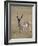 Pronghorn (Antilocapra Americana) Buck, Custer State Park, South Dakota, USA-James Hager-Framed Photographic Print