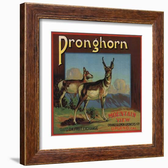 Pronghorn Brand - Upland, California - Citrus Crate Label-Lantern Press-Framed Art Print
