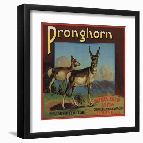 Pronghorn Brand - Upland, California - Citrus Crate Label-Lantern Press-Framed Art Print