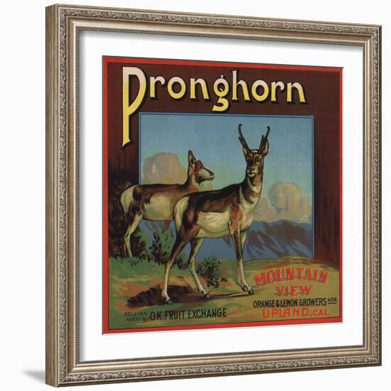 Pronghorn Brand - Upland, California - Citrus Crate Label-Lantern Press-Framed Art Print