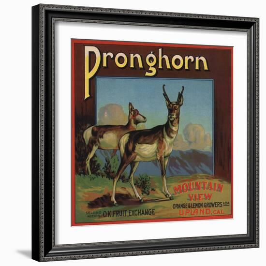 Pronghorn Brand - Upland, California - Citrus Crate Label-Lantern Press-Framed Art Print