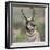 Pronghorn Buck Showing Territorial Behavior, Grand Tetons National Park, Wyoming-Maresa Pryor-Framed Photographic Print