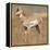 Pronghorn Young Buck-Joe McDonald-Framed Premier Image Canvas