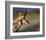 Pronghorn-Chris Vest-Framed Art Print