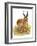 Pronghorn-Tim Knepp-Framed Giclee Print