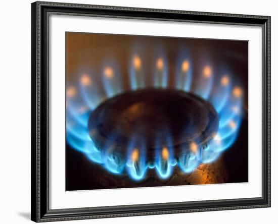 Propane Burner-Alan Sirulnikoff-Framed Photographic Print