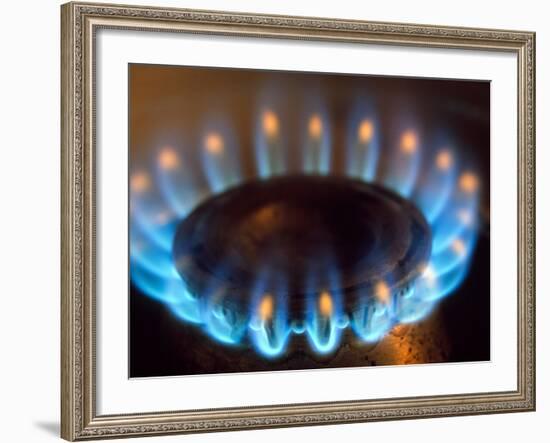 Propane Burner-Alan Sirulnikoff-Framed Photographic Print