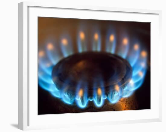 Propane Burner-Alan Sirulnikoff-Framed Photographic Print