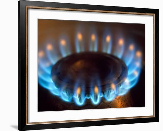 Propane Burner-Alan Sirulnikoff-Framed Photographic Print