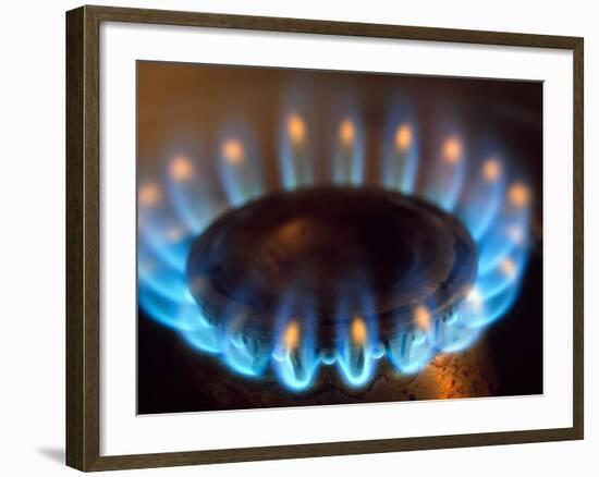 Propane Burner-Alan Sirulnikoff-Framed Photographic Print