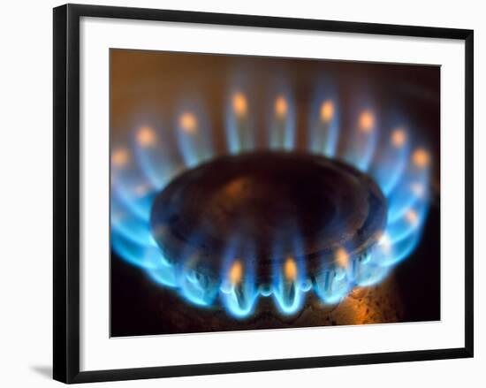 Propane Burner-Alan Sirulnikoff-Framed Photographic Print