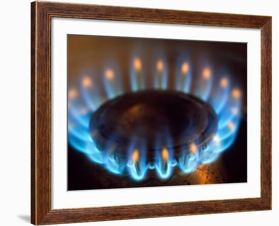 Propane Burner-Alan Sirulnikoff-Framed Photographic Print