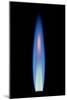 Propane Gas Flame From a Bunsen Burner-David Parker-Mounted Photographic Print
