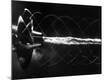 Photographic Print