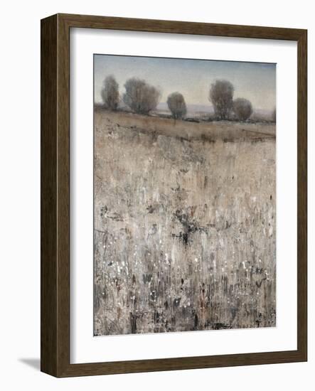 Property Line-Tim O'toole-Framed Giclee Print