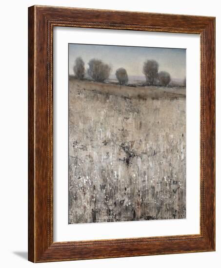 Property Line-Tim O'toole-Framed Giclee Print