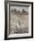 Property Line-Tim O'toole-Framed Giclee Print