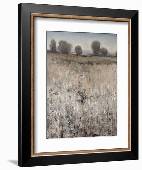 Property Line-Tim O'toole-Framed Giclee Print