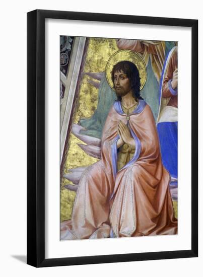 Prophets, Detail of John the Baptist, 1447-Fra Angelico-Framed Giclee Print