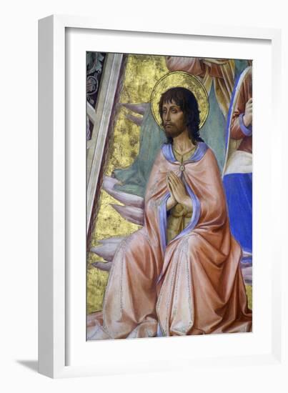 Prophets, Detail of John the Baptist, 1447-Fra Angelico-Framed Giclee Print