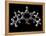 Propofol Molecule-Laguna Design-Framed Premier Image Canvas