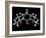 Propofol Molecule-Laguna Design-Framed Photographic Print