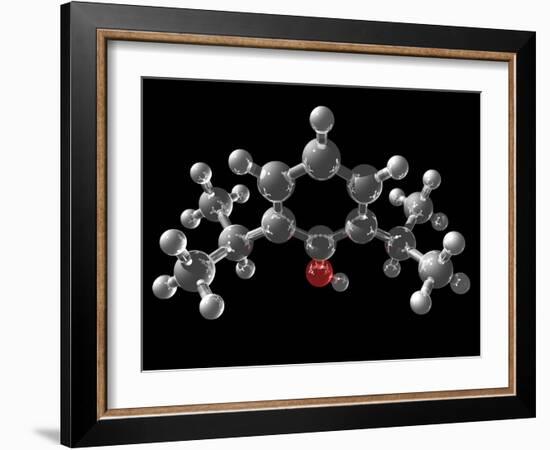 Propofol Molecule-Laguna Design-Framed Photographic Print