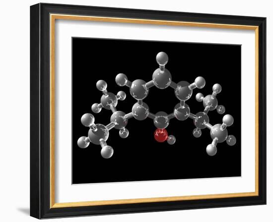 Propofol Molecule-Laguna Design-Framed Photographic Print