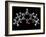 Propofol Molecule-Laguna Design-Framed Photographic Print