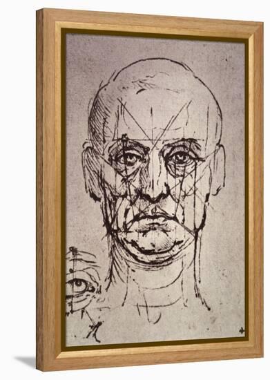 Proportions of the Face-Leonardo da Vinci-Framed Premier Image Canvas