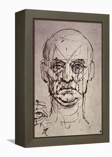 Proportions of the Face-Leonardo da Vinci-Framed Premier Image Canvas