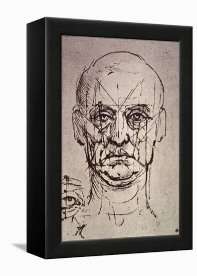 Proportions of the Face-Leonardo da Vinci-Framed Premier Image Canvas
