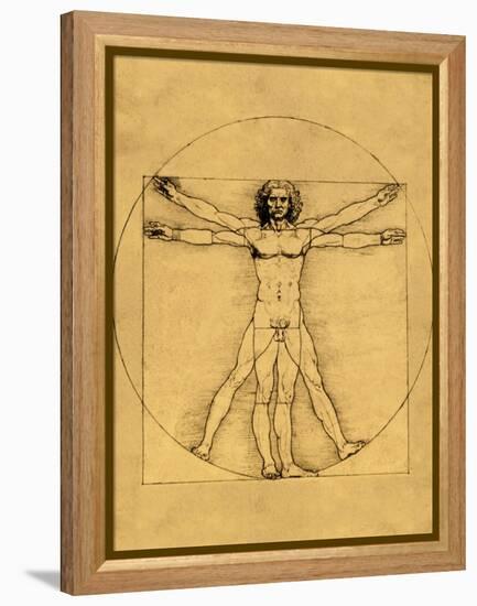 Proportions of the Human Figure-Leonardo da Vinci-Framed Premier Image Canvas