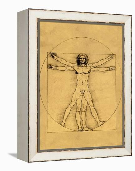 Proportions of the Human Figure-Leonardo da Vinci-Framed Premier Image Canvas