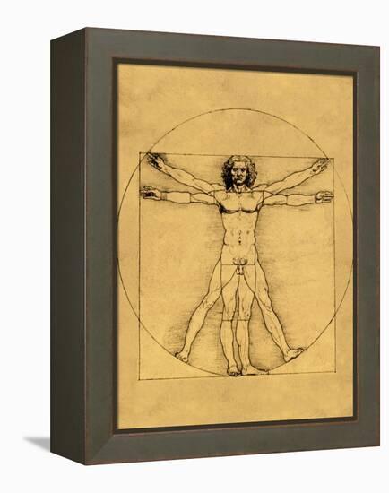 Proportions of the Human Figure-Leonardo da Vinci-Framed Premier Image Canvas