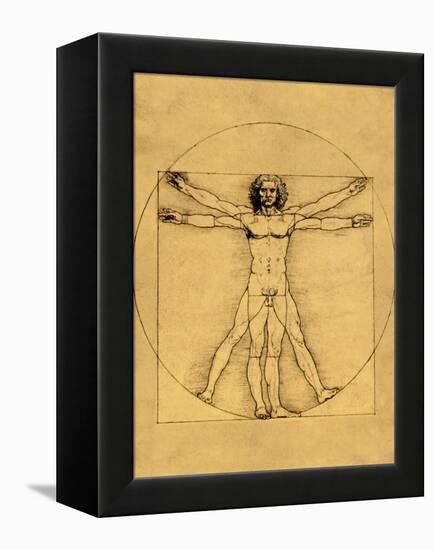 Proportions of the Human Figure-Leonardo da Vinci-Framed Premier Image Canvas