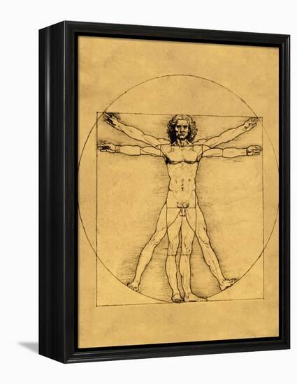 Proportions of the Human Figure-Leonardo da Vinci-Framed Premier Image Canvas