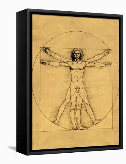 Proportions of the Human Figure-Leonardo da Vinci-Framed Premier Image Canvas