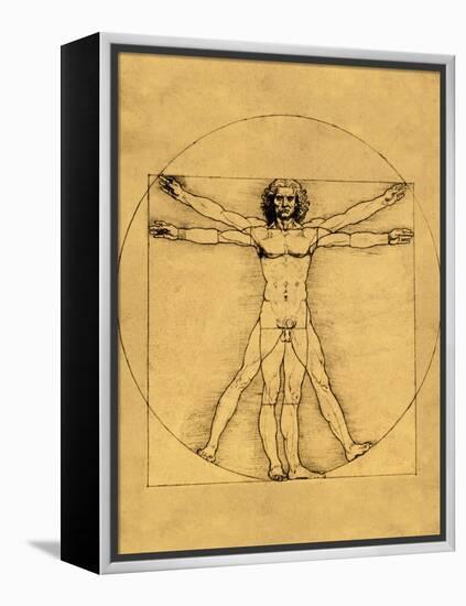 Proportions of the Human Figure-Leonardo da Vinci-Framed Premier Image Canvas